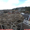 16_10-nest.jpg