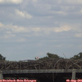 16_15-mast.jpg