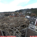 16_15-nest.jpg