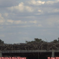 16_20-mast.jpg