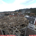 16_20-nest.jpg