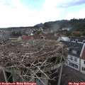 16_25-nest.jpg