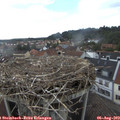 16_30-nest.jpg