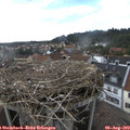 16_35-nest.jpg