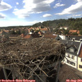 16_45-nest.jpg