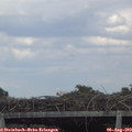 16_50-mast.jpg