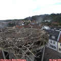 16_55-nest.jpg