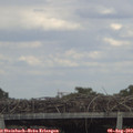 17_05-mast.jpg