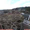 17_05-nest.jpg