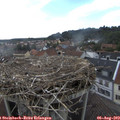 17_10-nest.jpg