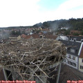 17_15-nest.jpg