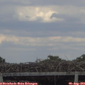 17_20-mast.jpg