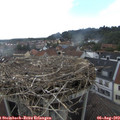 17_20-nest.jpg