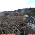 17_25-nest.jpg