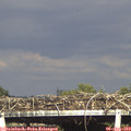 17_30-mast.jpg