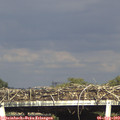 17_35-mast.jpg