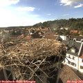 17_35-nest.jpg