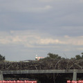 17_40-mast.jpg