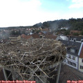 17_40-nest.jpg