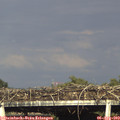 17_55-mast.jpg