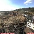 17_55-nest.jpg