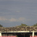 18_05-mast.jpg
