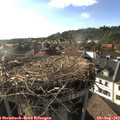 18_15-nest.jpg