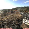 18_20-nest.jpg