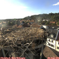 18_25-nest.jpg
