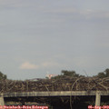 18_30-mast.jpg