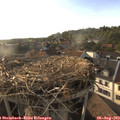 18_30-nest.jpg