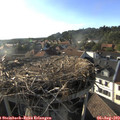 18_35-nest.jpg
