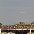 18_45-mast.jpg