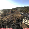 18_45-nest.jpg