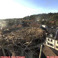 18_55-nest.jpg