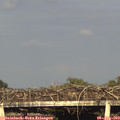 19_00-mast.jpg