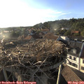 19_00-nest.jpg