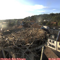 19_05-nest.jpg