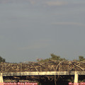 19_10-mast.jpg