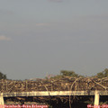 19_25-mast.jpg