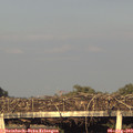 19_35-mast.jpg