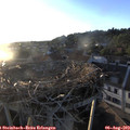 20_00-nest.jpg