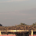 20_10-mast.jpg