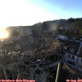 20_10-nest.jpg