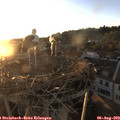 20_15-nest.jpg