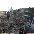20_30-nest.jpg