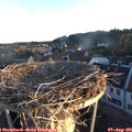 06_25-nest.jpg