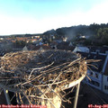 06_35-nest.jpg