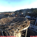06_40-nest.jpg
