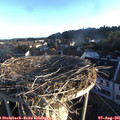 06_45-nest.jpg